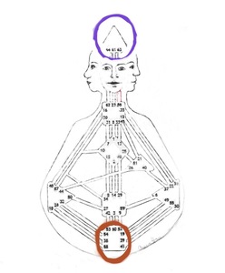 Humandesign Körpergrafik